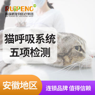 【安徽阿闻】猫呼吸系统PCR核酸检测 猫呼吸系统五项（PCR核酸检测）